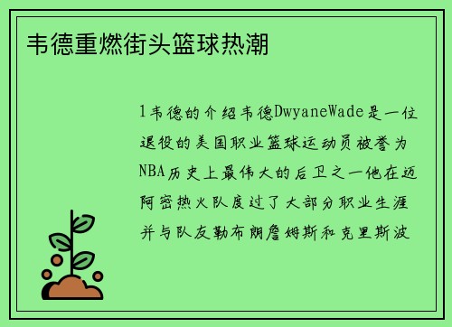 韦德重燃街头篮球热潮